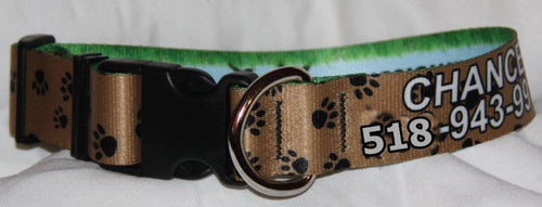 Custom Dog Identification-Title Collar 1.5