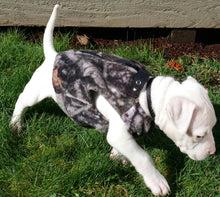 Load image into Gallery viewer, Camo Dog Vests - nw-camo